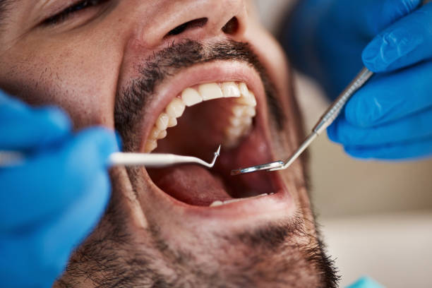 Best Urgent Dental Care  in Hrison, AR